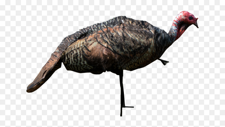 Montana Decoy, HD Png Download - turkey png