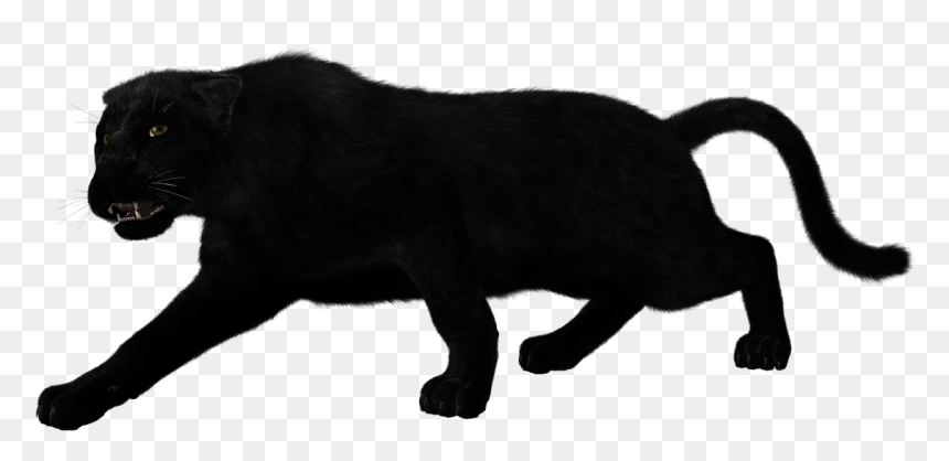 Silhouette Of A Panther, HD Png Download - black panther png