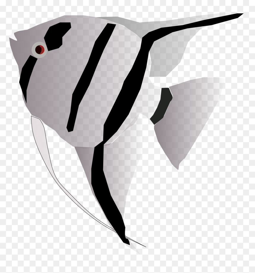Freshwater Angelfish, HD Png Download - angel png