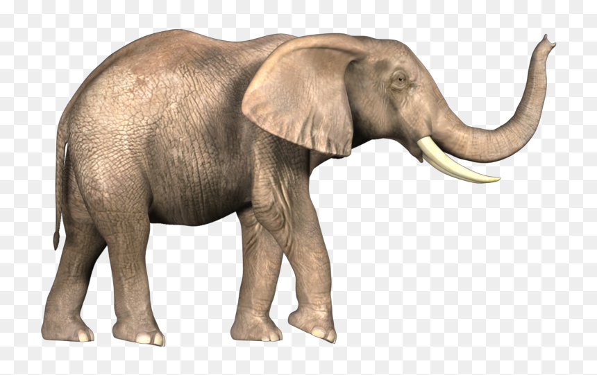 Elephant Images Png, Transparent Png - elephant png