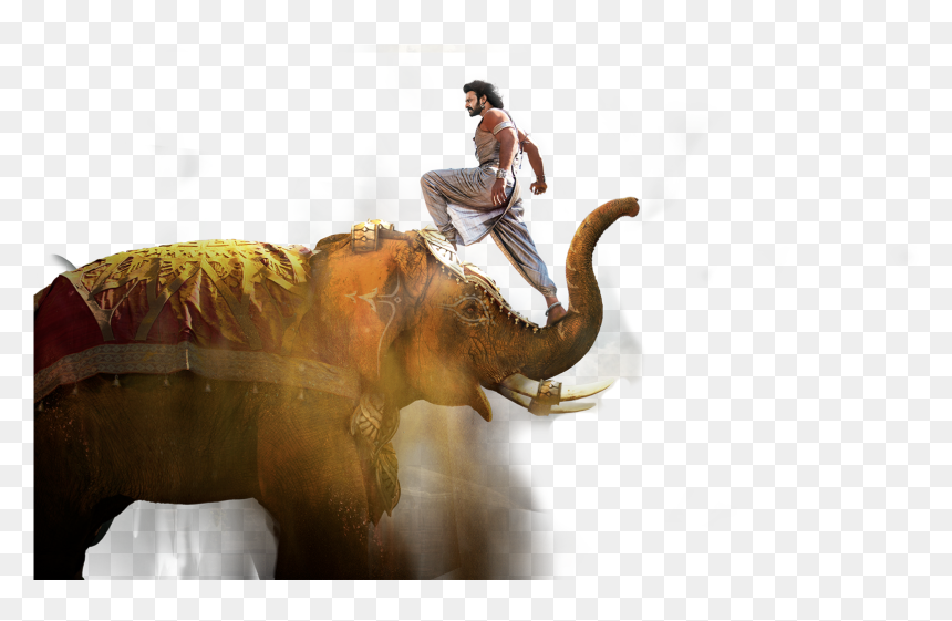 Jiyo Re Bahubali Song Download, HD Png Download - elephant png