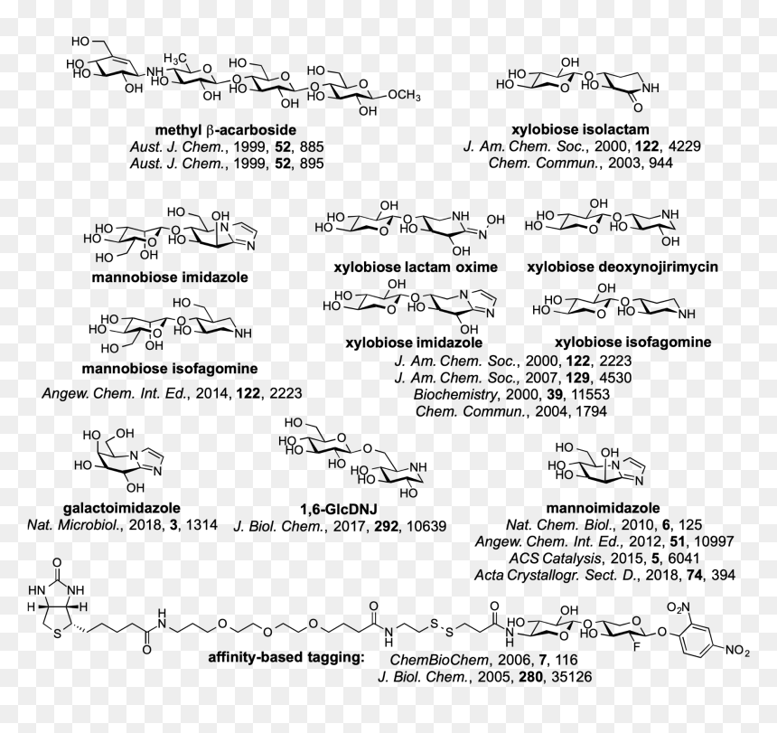 Document, HD Png Download - ho oh png