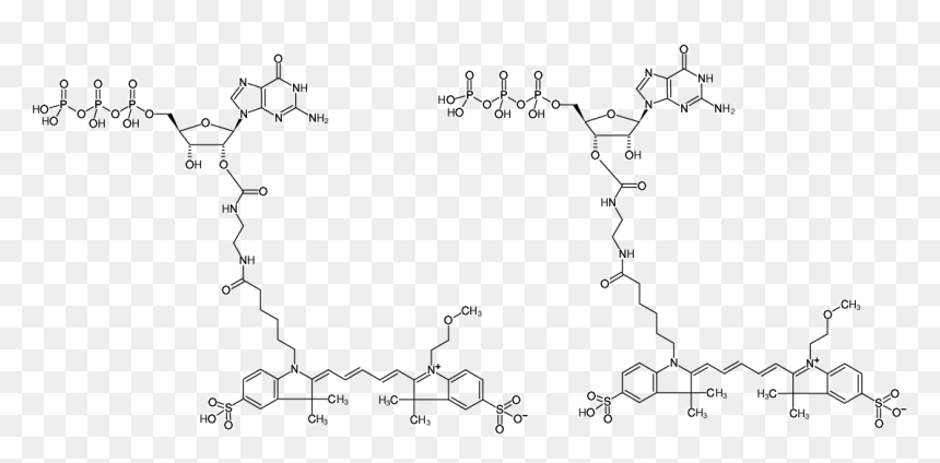 Guanosine Triphosphate, HD Png Download - ho oh png