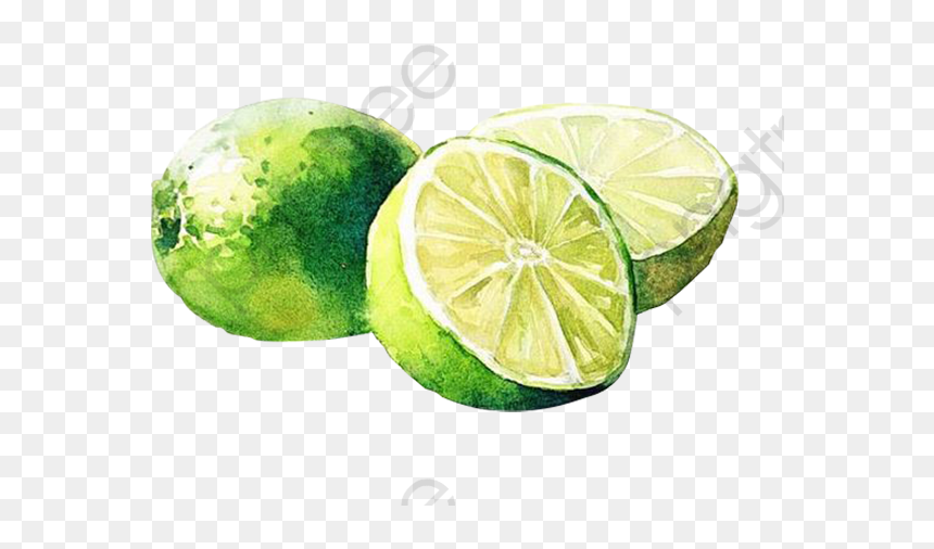 Lemon Painting Watercolour, HD Png Download - hand drawn border png