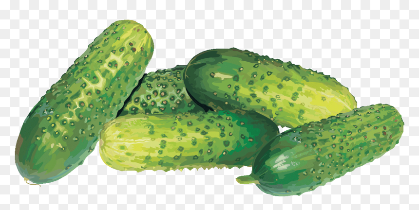 Cucumber, HD Png Download - cucumbers png