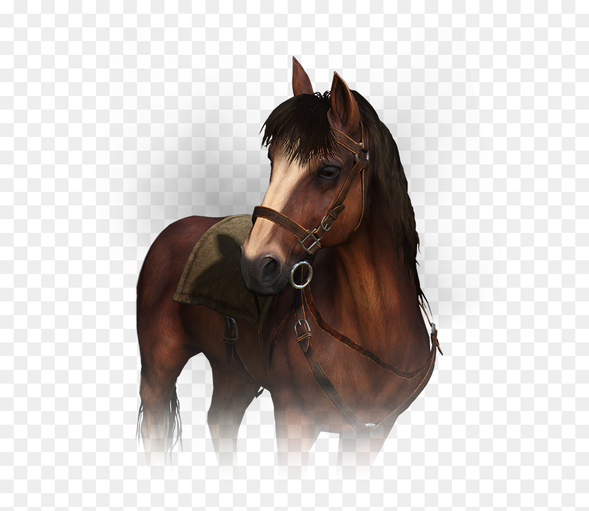Roach The Witcher, HD Png Download - the witcher png