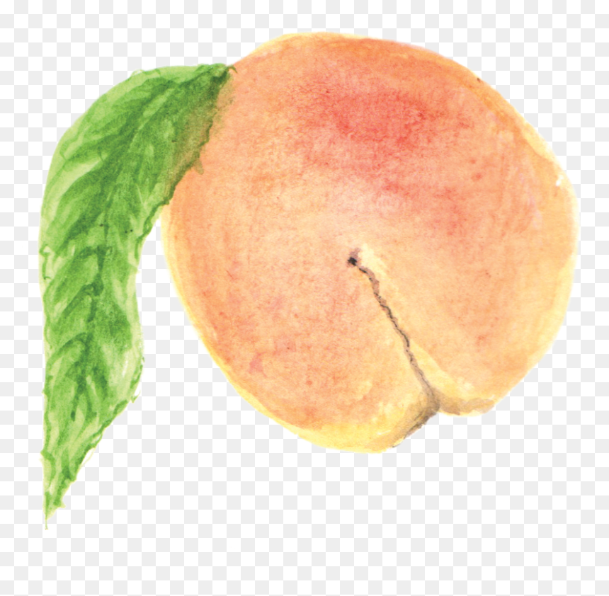 Apricot, HD Png Download - pixel food png