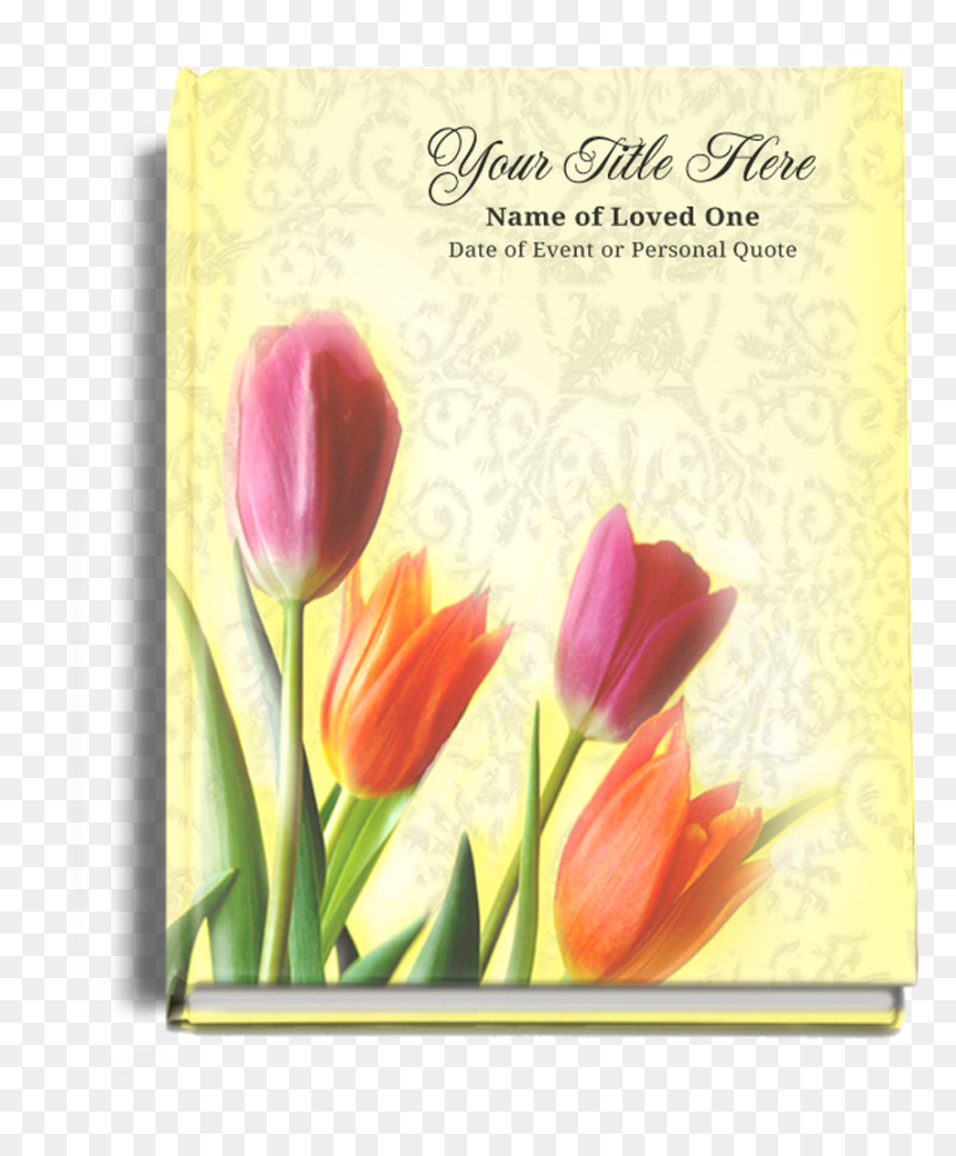 Funeral, HD Png Download - lace background png