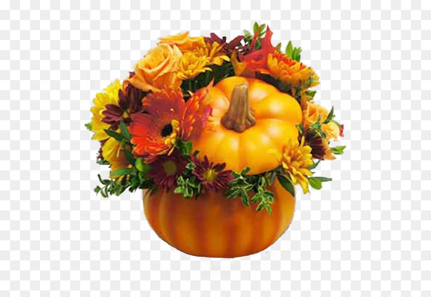 Pumpkin Patch Png Photo - Pumpkin, Transparent Png - pumpkin patch png