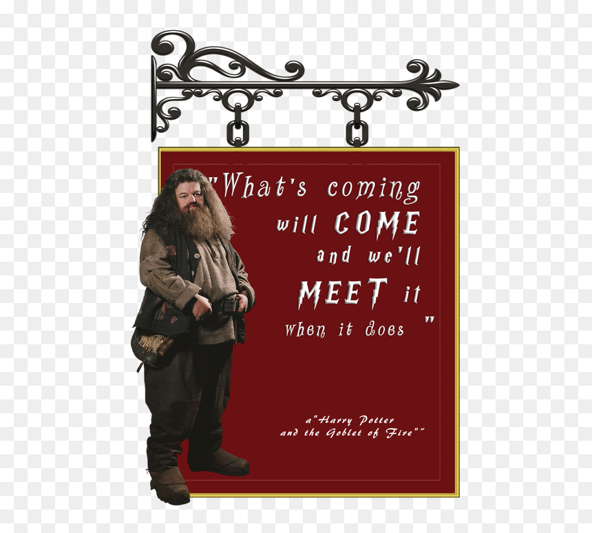 Picture - Png With Sign Board, Transparent Png - hagrid png