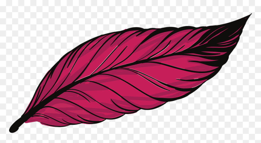 Thumb Image - Pink Feather Clipart, HD Png Download - pluma png