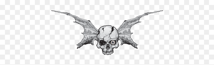 Pair Of Wings Bat Skull - Skull, HD Png Download - bat wings png