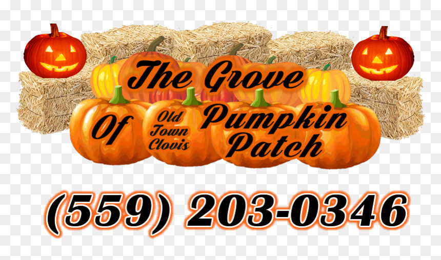 Jack-o'-lantern, HD Png Download - pumpkin patch png