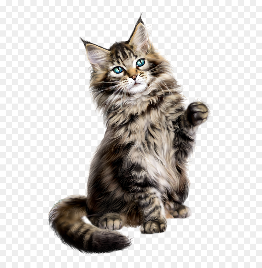 Persian Cat Clipart Gato - Maine Coon Clip Art, HD Png Download - gato png