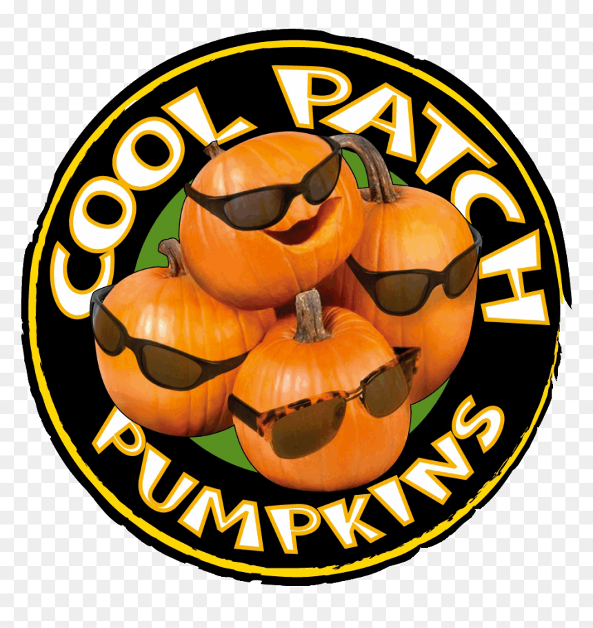 Coolpatchpumpkins Cool Pumpkins - Cool, HD Png Download - pumpkin patch png