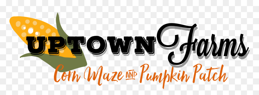 Adhira, HD Png Download - pumpkin patch png