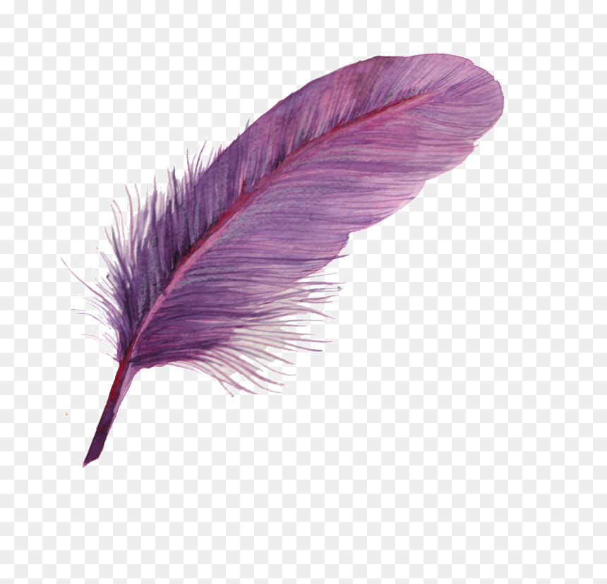 Can Purple Feather Transparent Decorative - Colorful Feather Icon Png, Png Download - pluma png