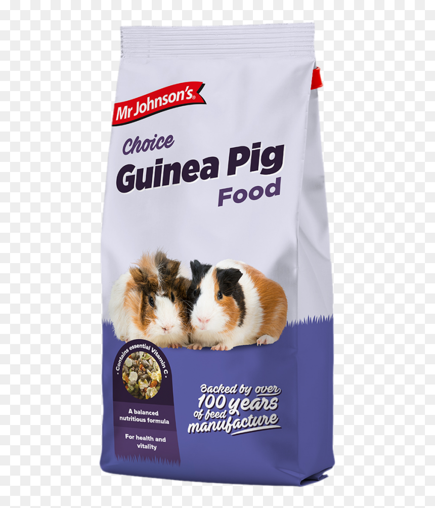 Guinea Pig, HD Png Download - guinea pig png