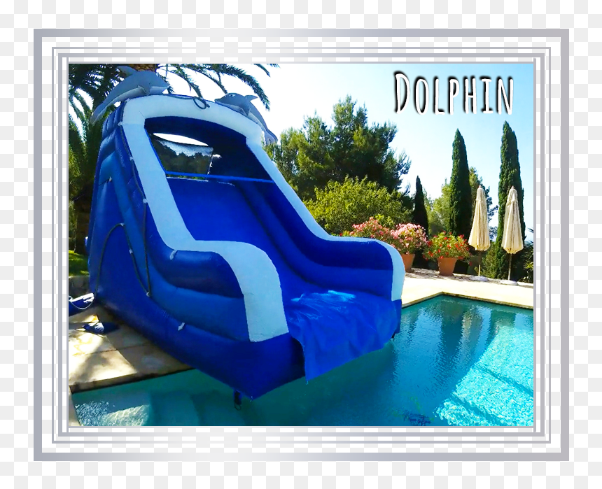 The "dolphin - Inflatable, HD Png Download - water slide png