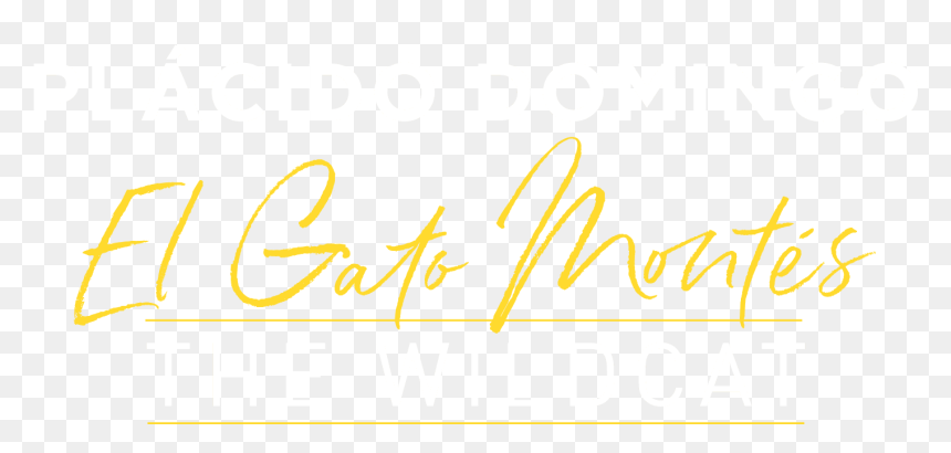 El Gato Montes - Calligraphy, HD Png Download - gato png