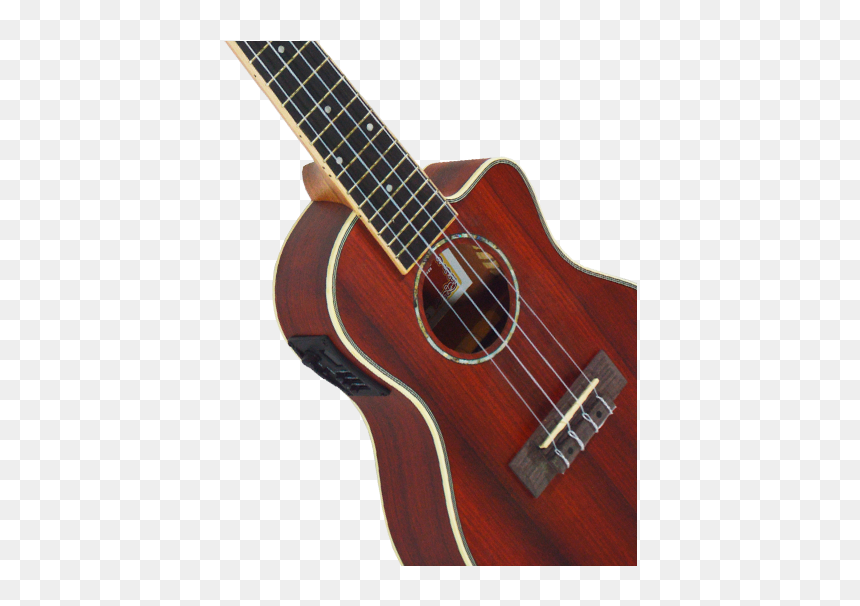 # - Acoustic Guitar, HD Png Download - modelo png