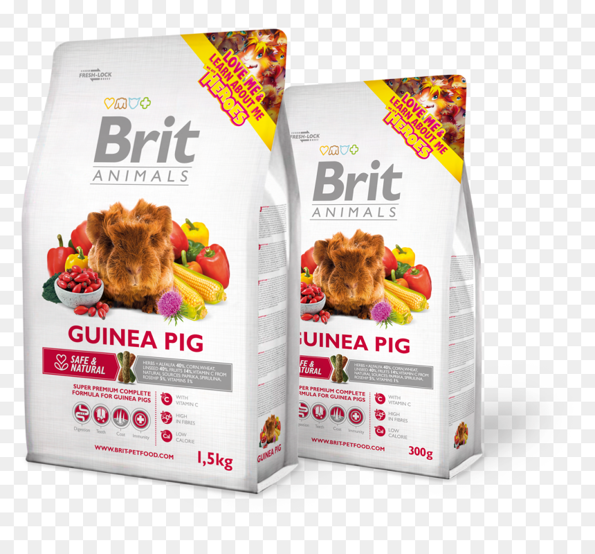 Brit Animals Guinea Pig Complete, HD Png Download - guinea pig png