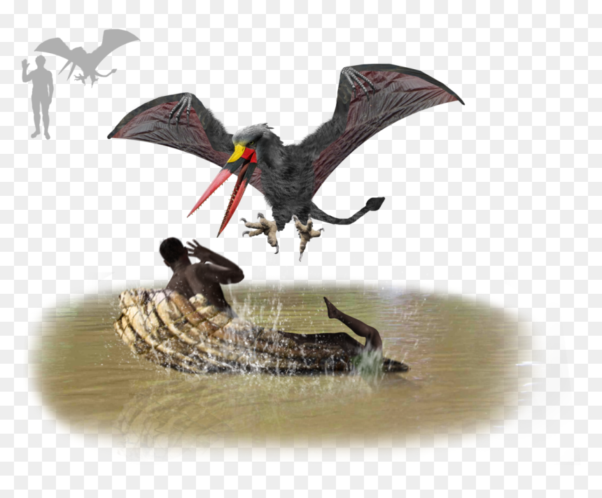 Legend Of Kongamato, Zambia - Portable Network Graphics, HD Png Download - bat wings png