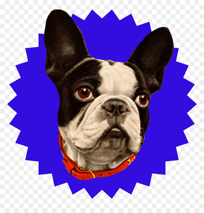 Transparent Dog Head Png - Black Friday Badge Png, Png Download - robot head png