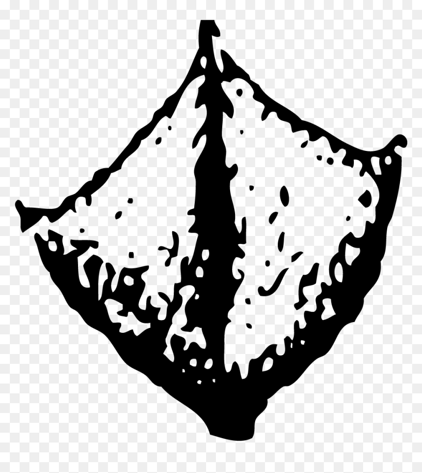 Wild Animal Footprints Clipart, HD Png Download - bat wings png