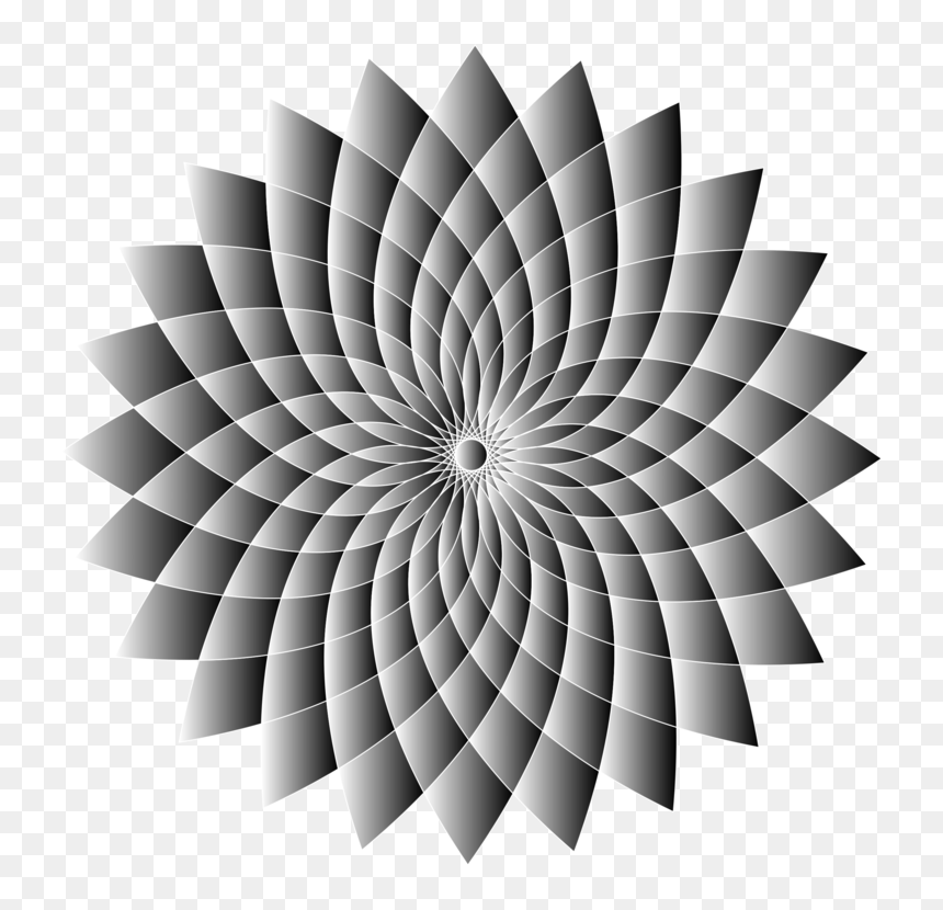 Symmetry,monochrome Photography,spiral - Do You See This Picture Moving, HD Png Download - illusion png