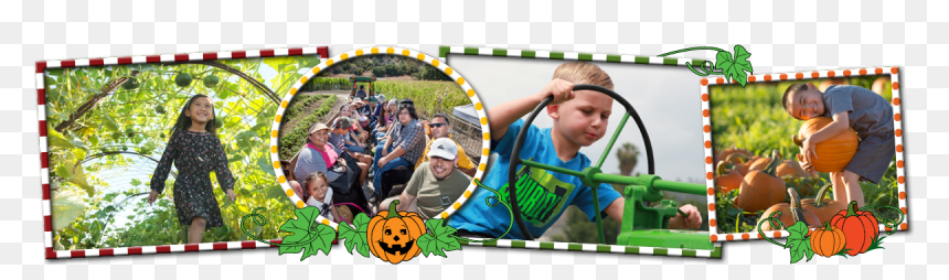 Squash Tunnel, Hay Ride, Sitting On Tractor, Pumpkin, HD Png Download - pumpkin patch png
