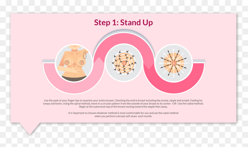 Estrela , Png Download - Circle, Transparent Png - estrela png