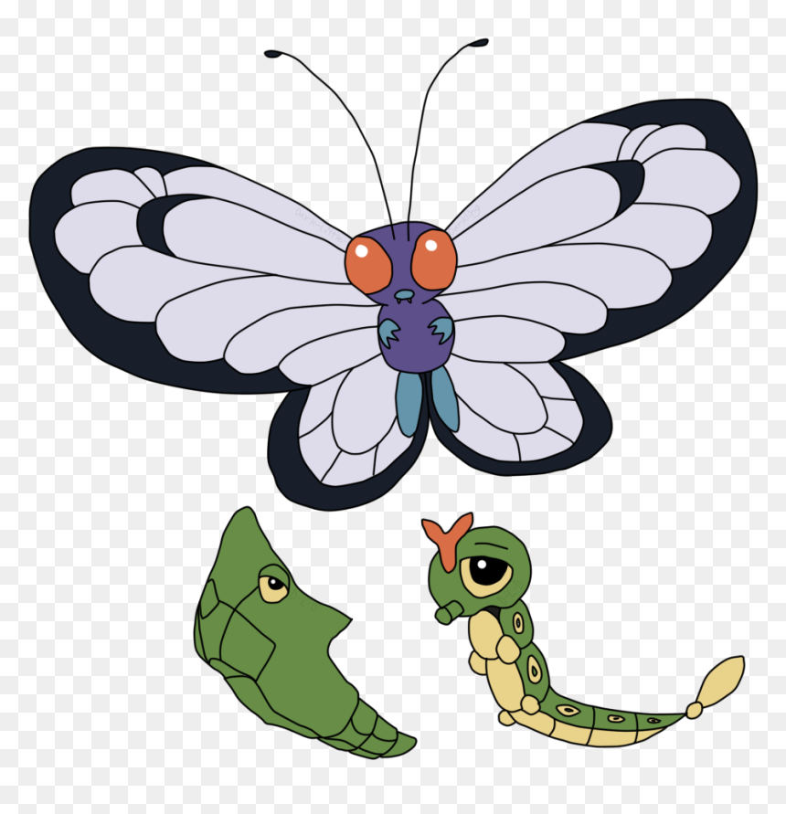 Caterpie Evolution - Cartoon, HD Png Download - weedle png