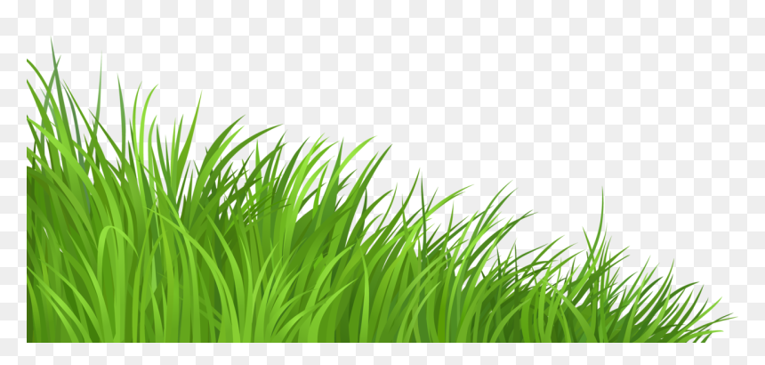 Lawn Clip Art - Transparent Background Grass Clipart, HD Png Download - lawn png