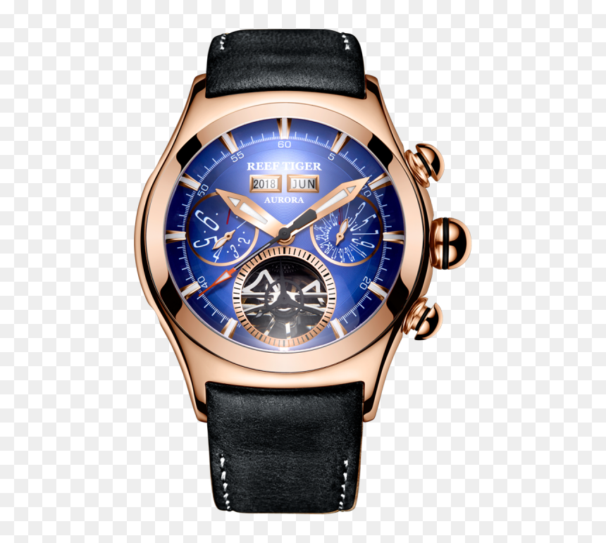 Reef Tiger Rga7503, HD Png Download - weedle png