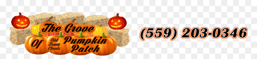 Jack-o'-lantern, HD Png Download - pumpkin patch png