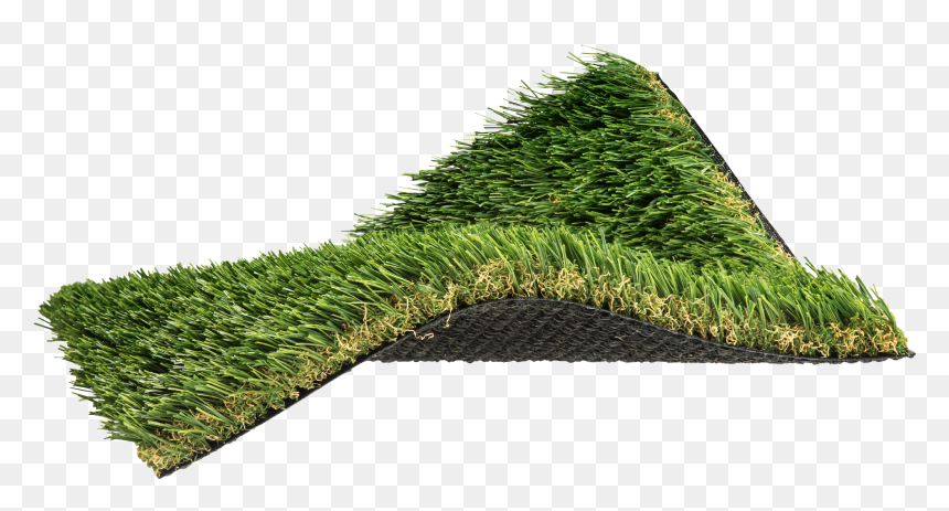 Lawn , Png Download - Christmas Tree, Transparent Png - lawn png