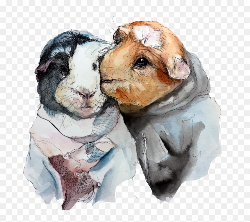 Picture - Guinea Pig, HD Png Download - guinea pig png