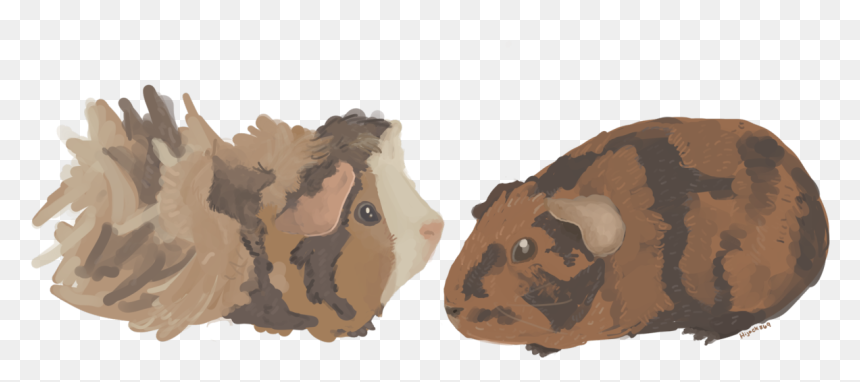 Guinea Pig, HD Png Download - guinea pig png