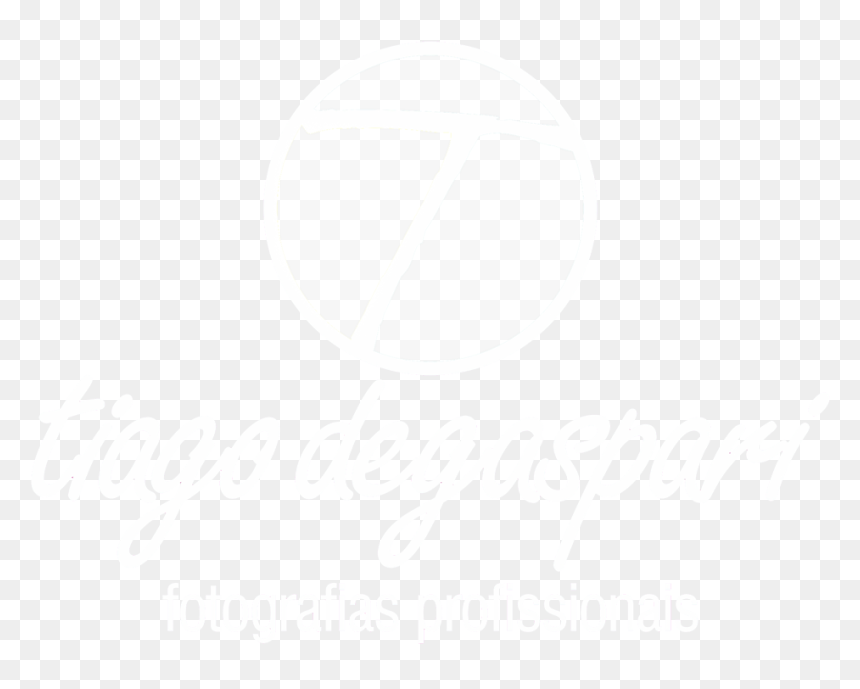 Circle, HD Png Download - fundo png
