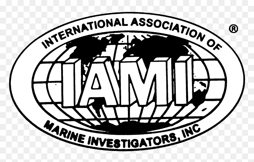 Marine Surveys, Consultancy, Damage/claims, Litigation - World, HD Png Download - damage png