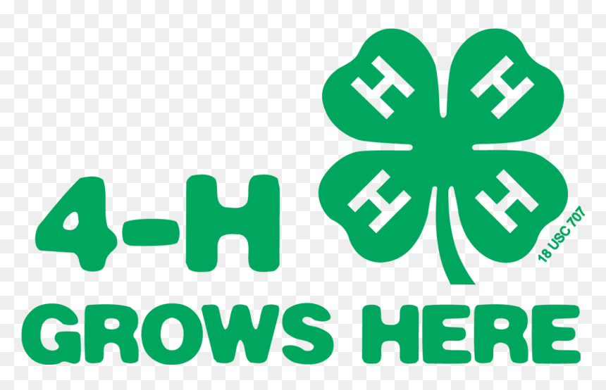 Uga 4h Designs On-line Learning Programs For Pandemic - 4 H Grows Here, HD Png Download - uga logo png