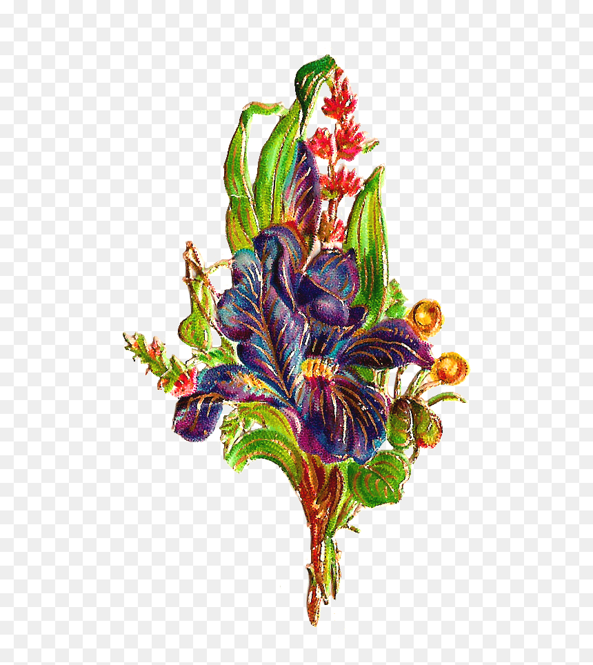 Iris, HD Png Download - gold trim png