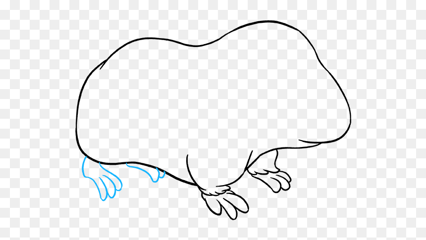 How To Draw Guinea Pig - Line Art, HD Png Download - guinea pig png