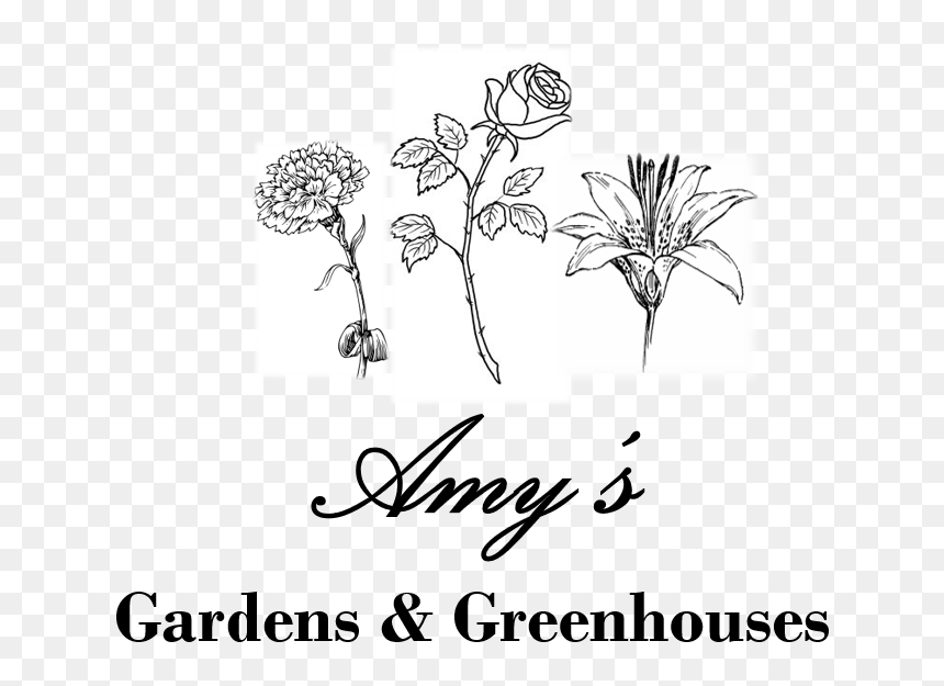 Line Art, HD Png Download - hanging plants png