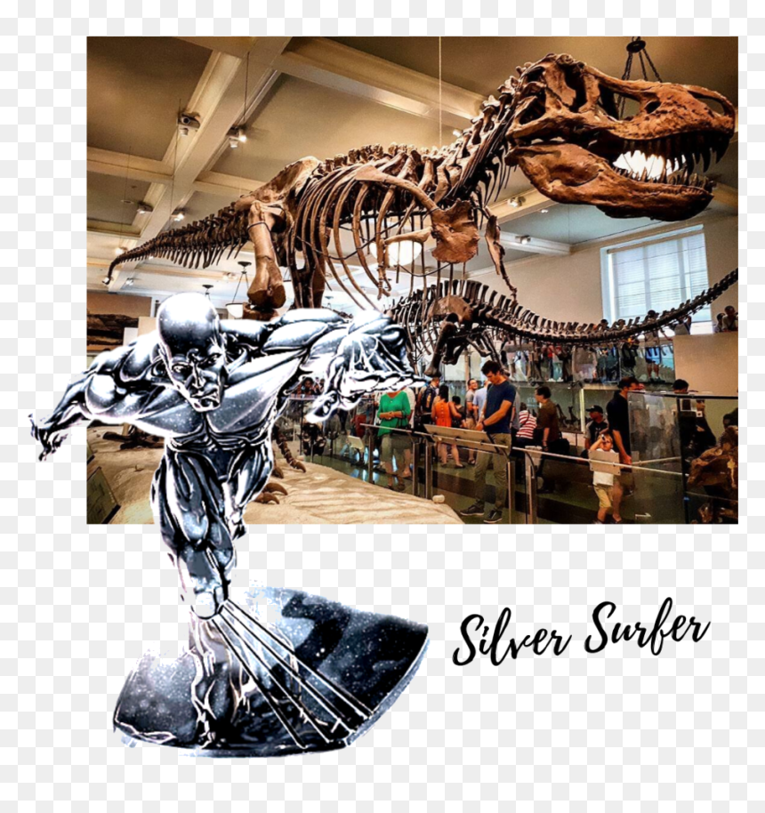 Silver Surfer - Tyrannosaurus, HD Png Download - silver surfer png