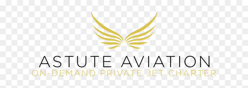 Black Text Logo- Correct Spelling - Graphic Design, HD Png Download - private jet png