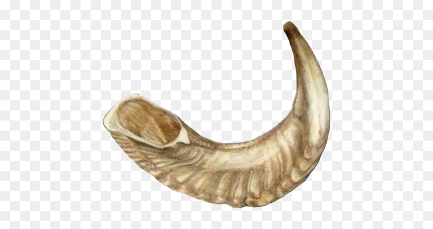 Horn Clipart Shofar - Clip Art Shofar, HD Png Download - shofar png