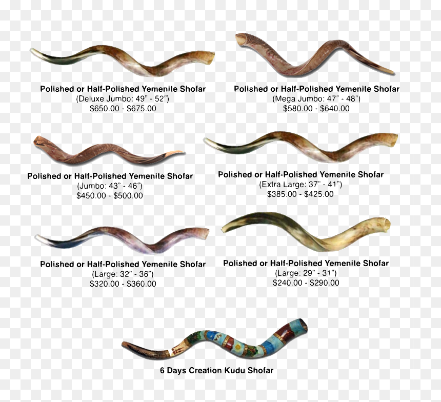 Shofar Png , Png Download - Shofar Bag With Menorah, Transparent Png - shofar png