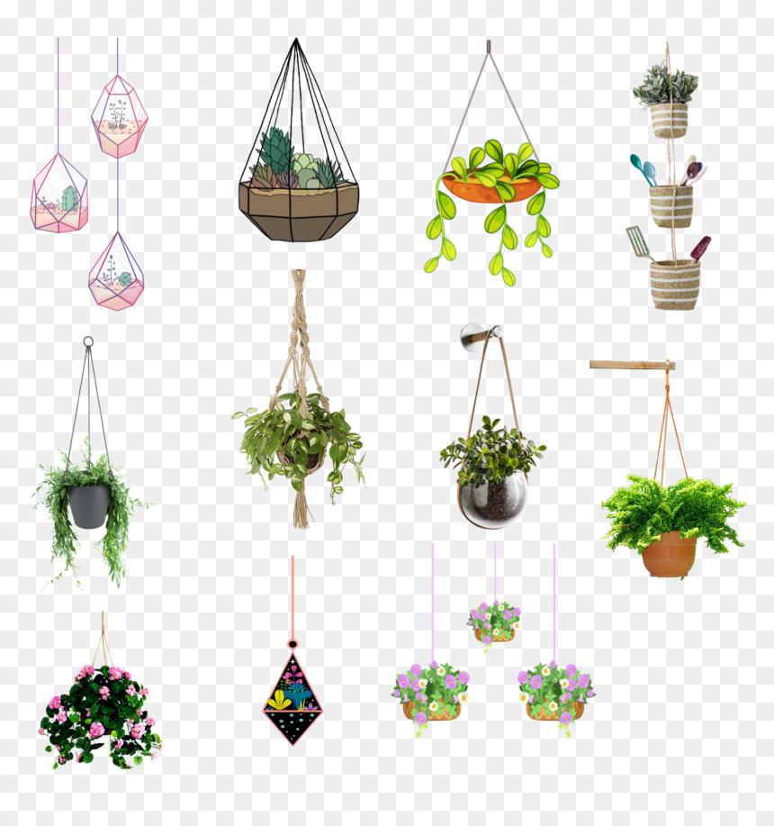 #hangingplants #hanging #plants, HD Png Download - hanging plants png